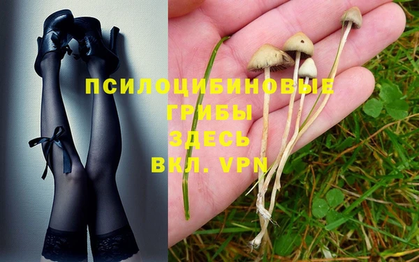 альфа пвп Армянск