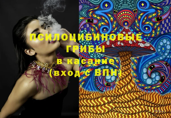 дурь Арсеньев