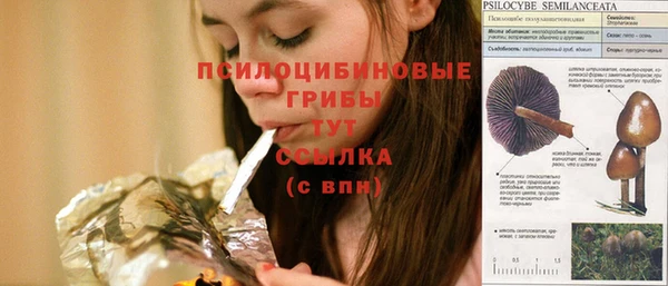 дурь Арсеньев